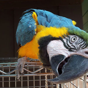 Meet your Posher, James